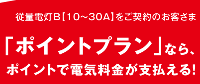 カテエネのポイントプラン